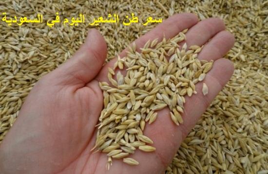 سعر طن الشعير اليوم في السعودية